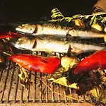 Διαμέρισμα Niva Vir