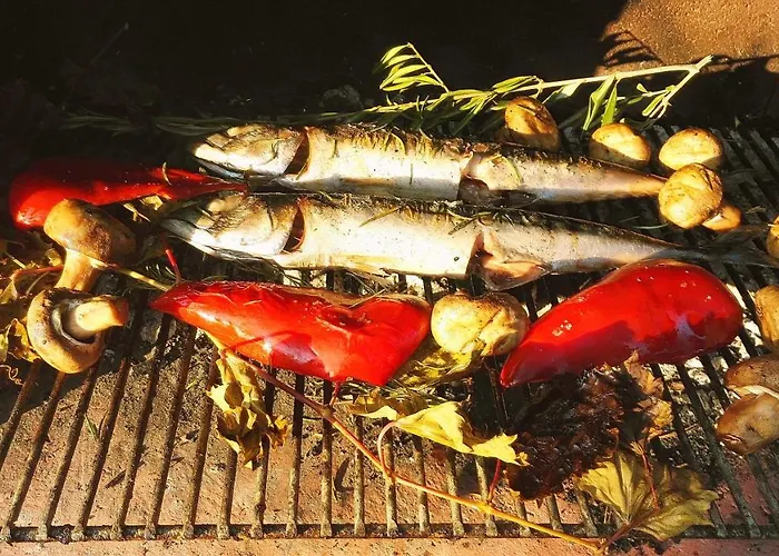 Appartement Niva Vir